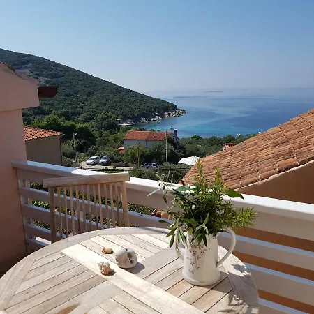 House Mihaela Villa Miholascica Exterior photo