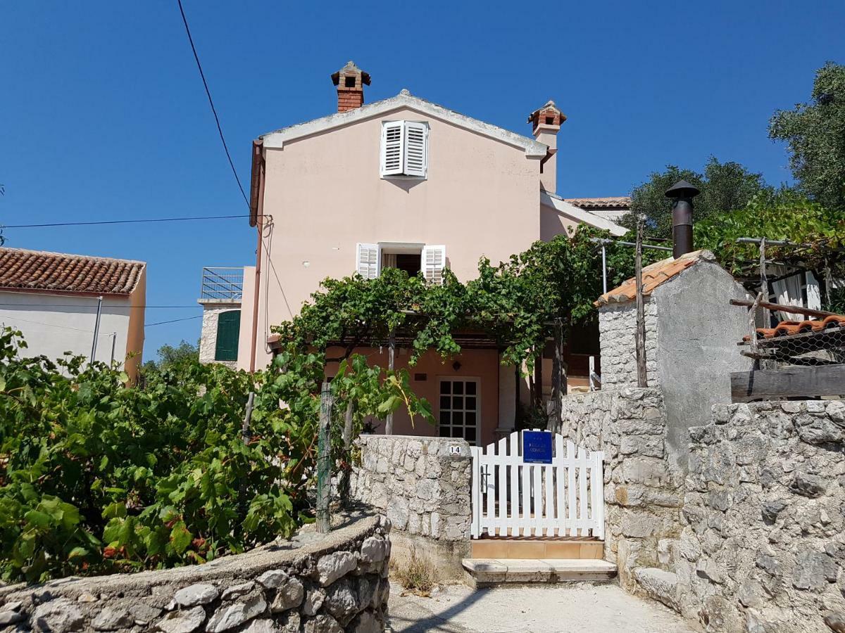 House Mihaela * Miholascica